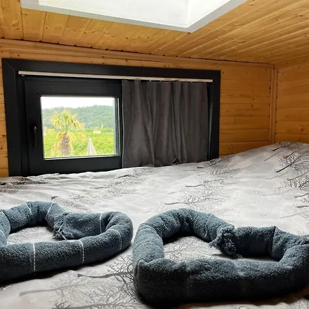 Kaktues Tiny House *